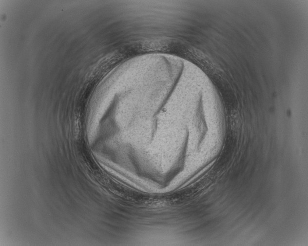 X0000077320741200611101457