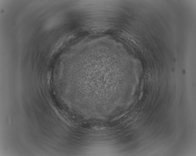 X0000077320742200611101457