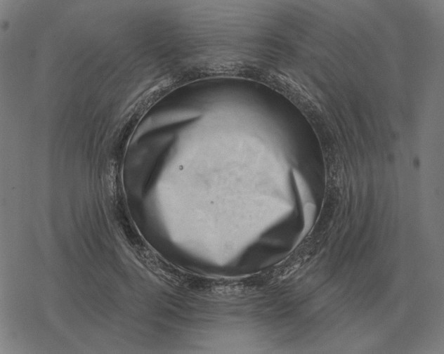 X0000077320744200611101457