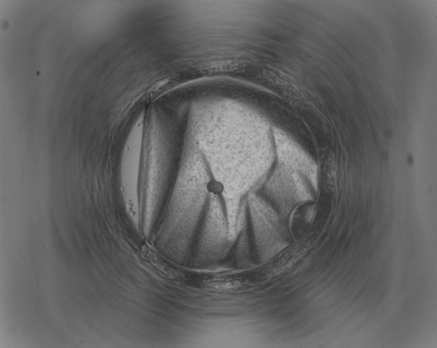 X0000077320746200611101458