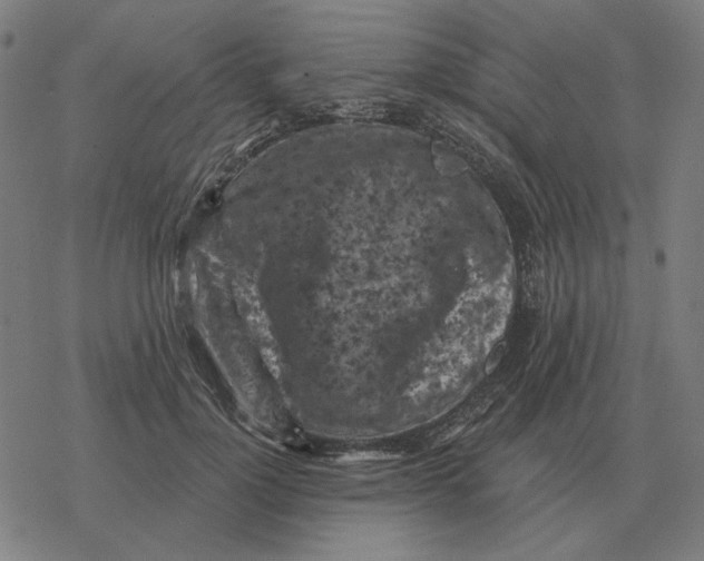 X0000077320748200611101458