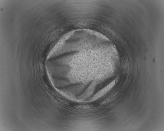 X0000077320749200611101458