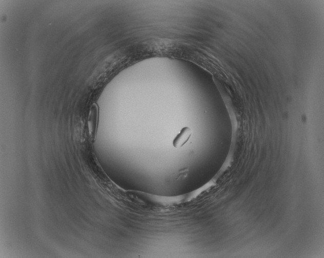 X0000077320750200611101458