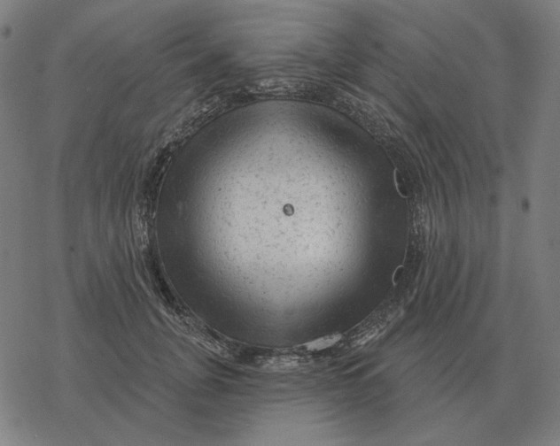 X0000077320751200611101458