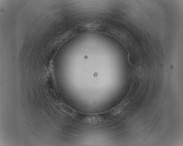 X0000077320752200611101458