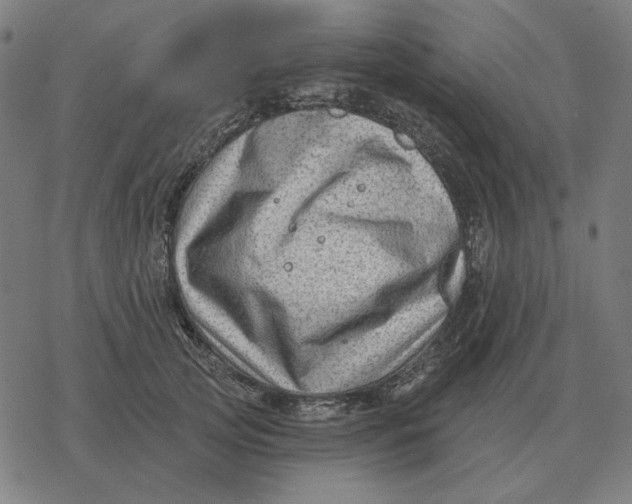 X0000077320753200611101458