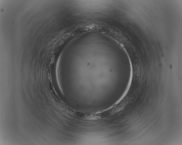 X0000077320754200611101458