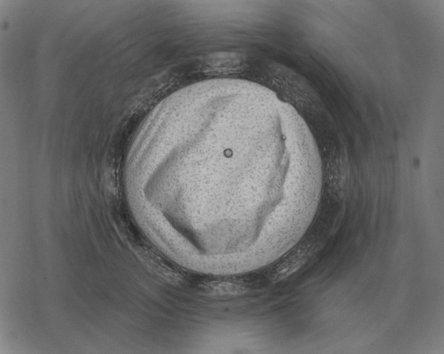 X0000077320755200611101458