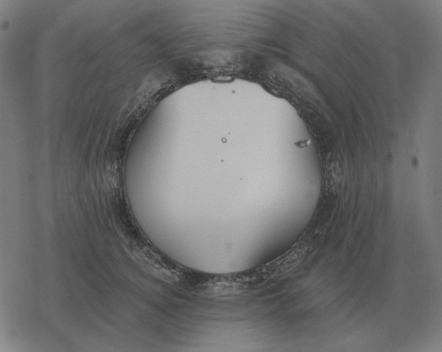 X0000077320756200611101458