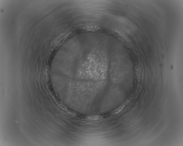 X0000077320757200611101458