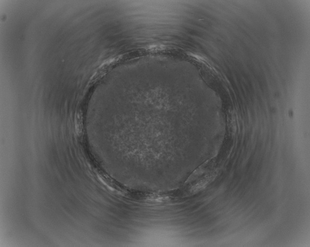 X0000077320760200611101458