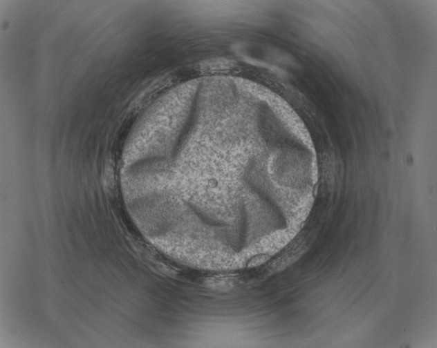 X0000077320761200611101458