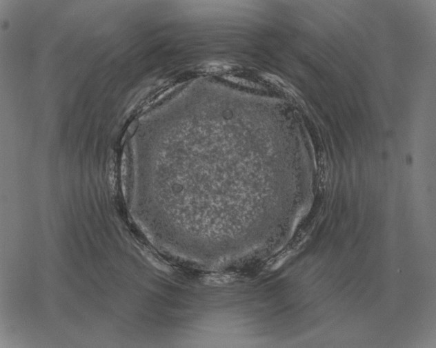 X0000077320762200611101458