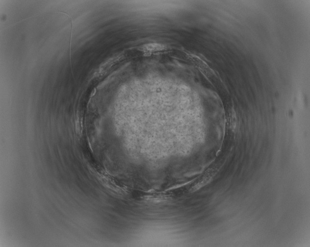 X0000077320763200611101458