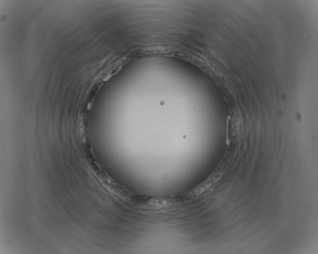 X0000077320764200611101458