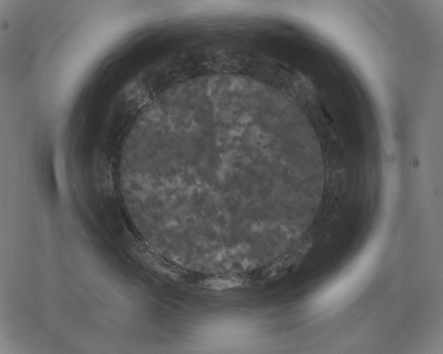 X0000077320765200611101458