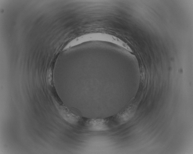 X0000077320767200611101458