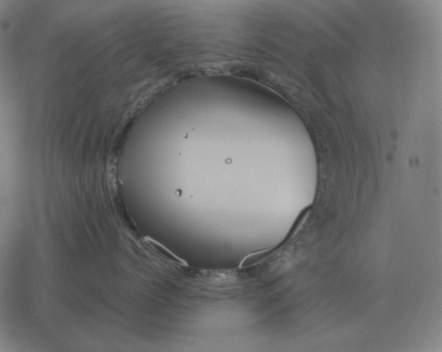 X0000077320768200611101458