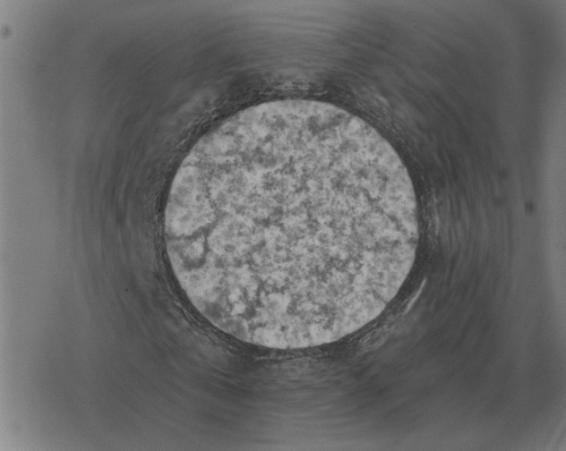 X0000077320769200611101457