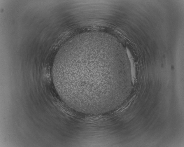 X0000077320771200611101457