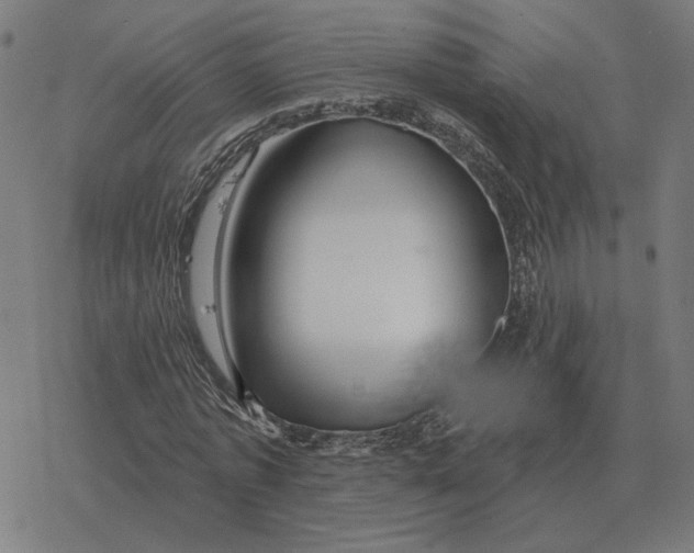 X0000077320773200611101457