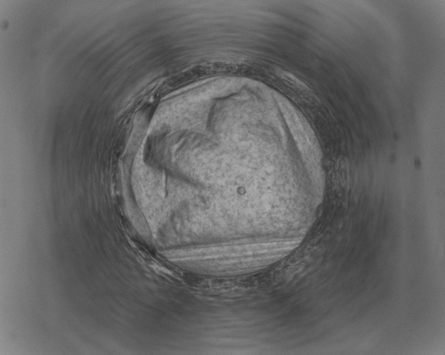 X0000077320774200611101457