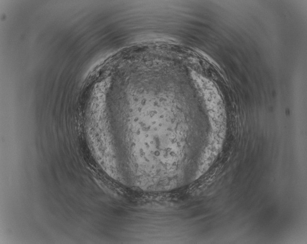 X0000077320775200611101457