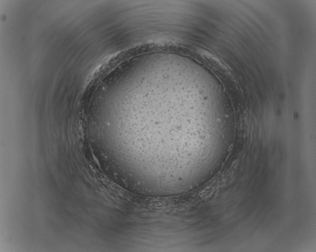 X0000077320776200611101457