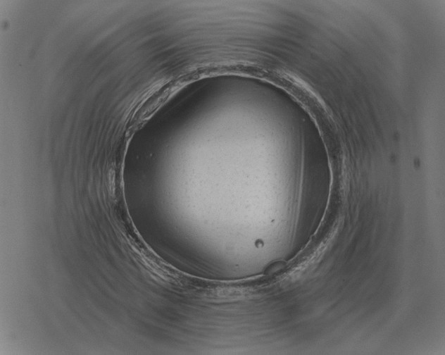 X0000077320777200611101457