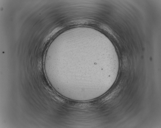 X0000077320778200611101457