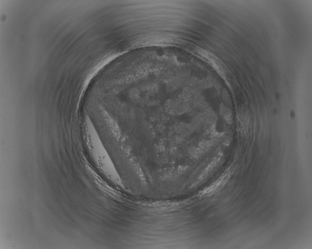 X0000077320779200611101457