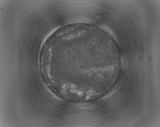 X0000077320780200611101457