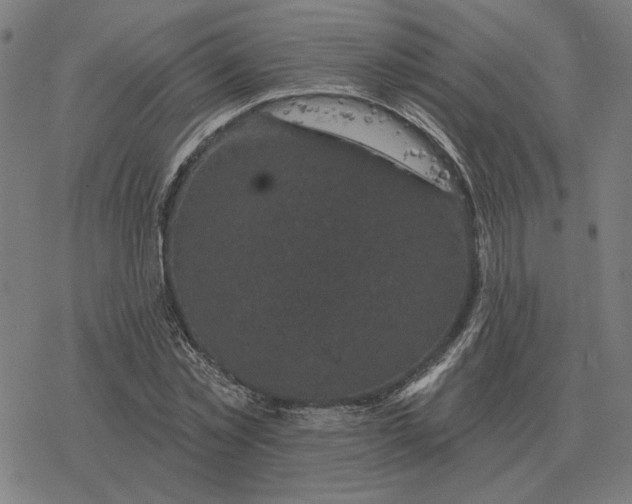 X0000077320781200611101457