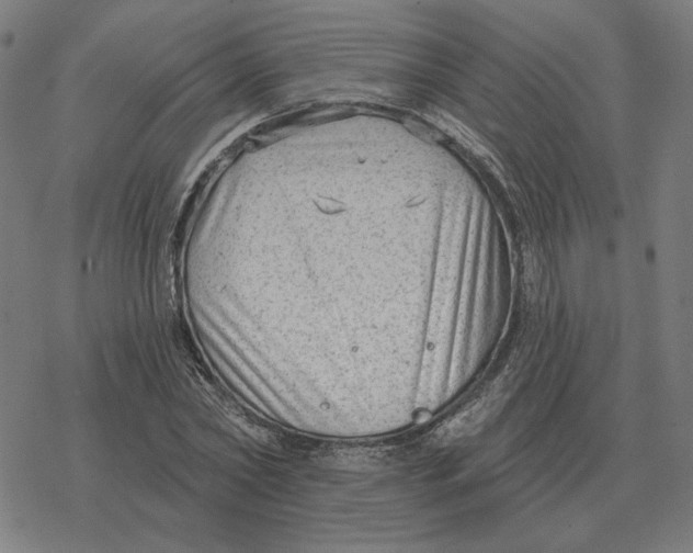 X0000077320782200611101457