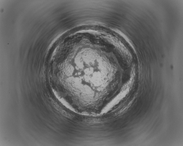 X0000077320783200611101457