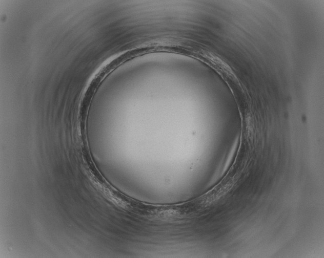 X0000077320784200611101457