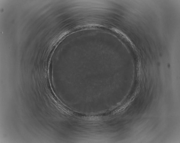 X0000077320785200611101457