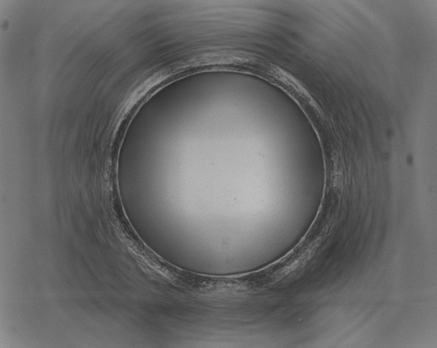 X0000077320786200611101457