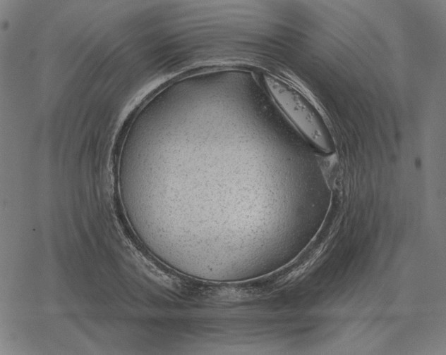 X0000077320787200611101457