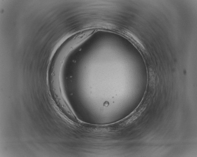 X0000077320788200611101457