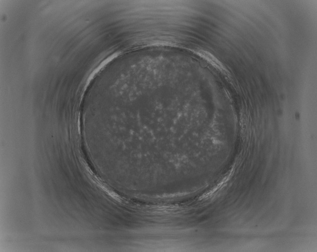 X0000077320790200611101457