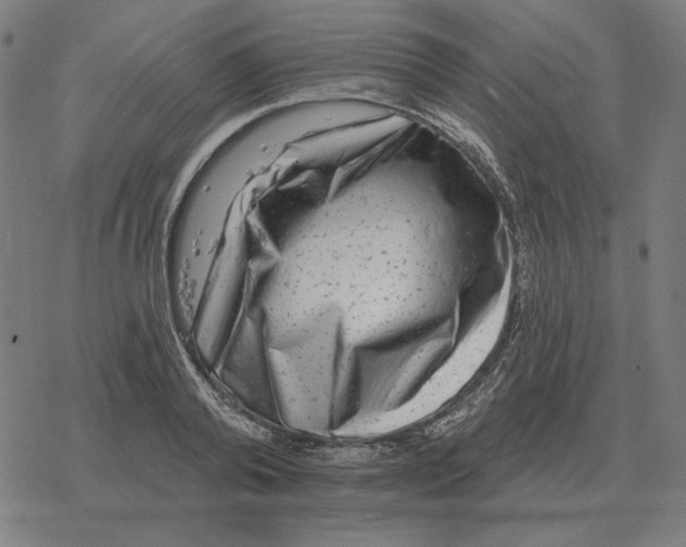 X0000077320792200611101457