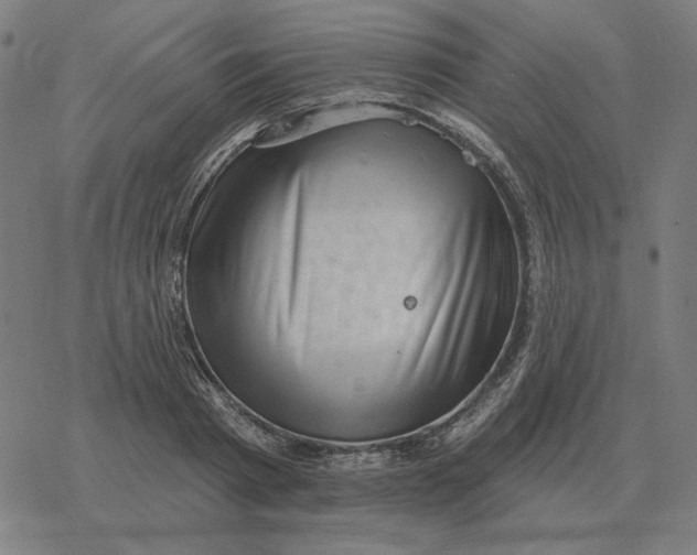 X0000077320793200611101457