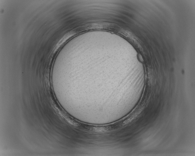 X0000077320794200611101457