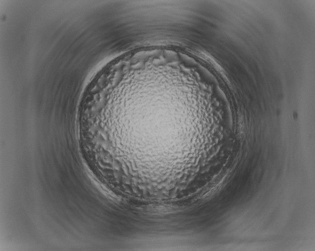 X0000077320795200611101457