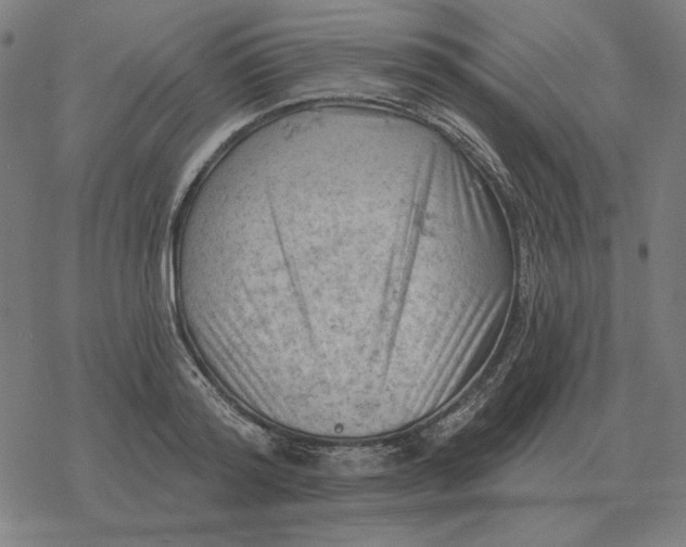 X0000077320796200611101457