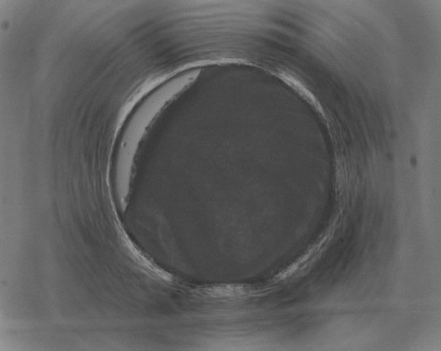 X0000077320797200611101457