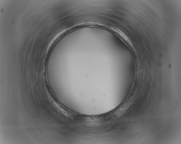 X0000077320799200611101457