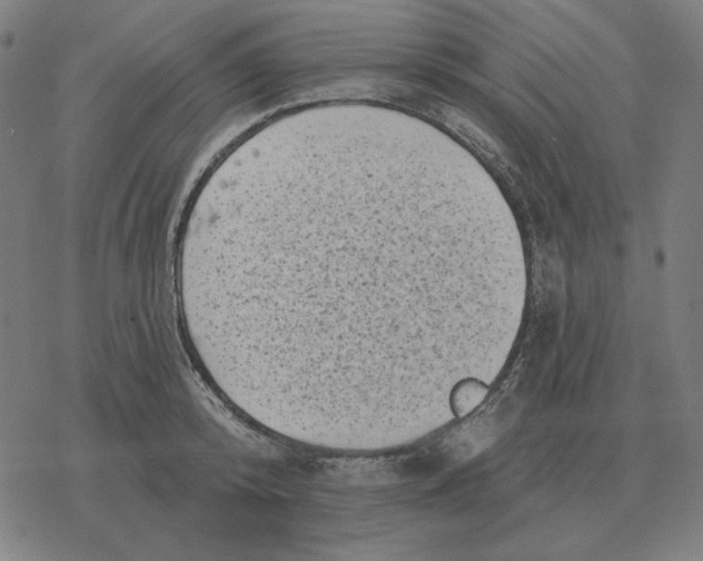 X0000077320800200611101457