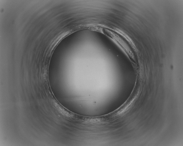 X0000077320801200611101457